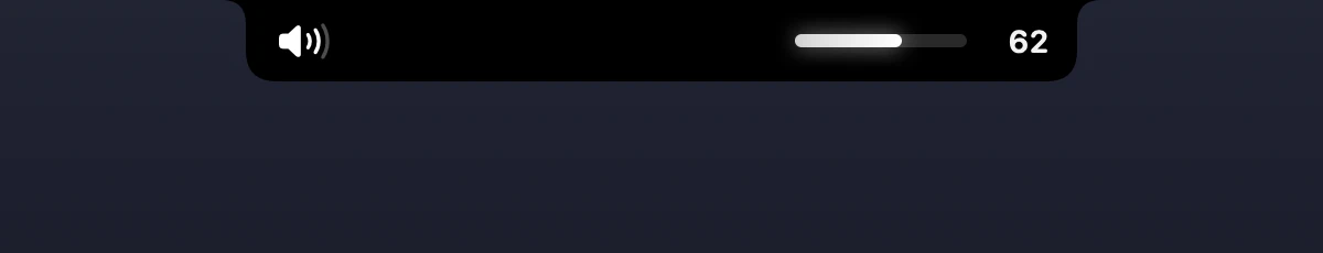 The volume level shown in the notch